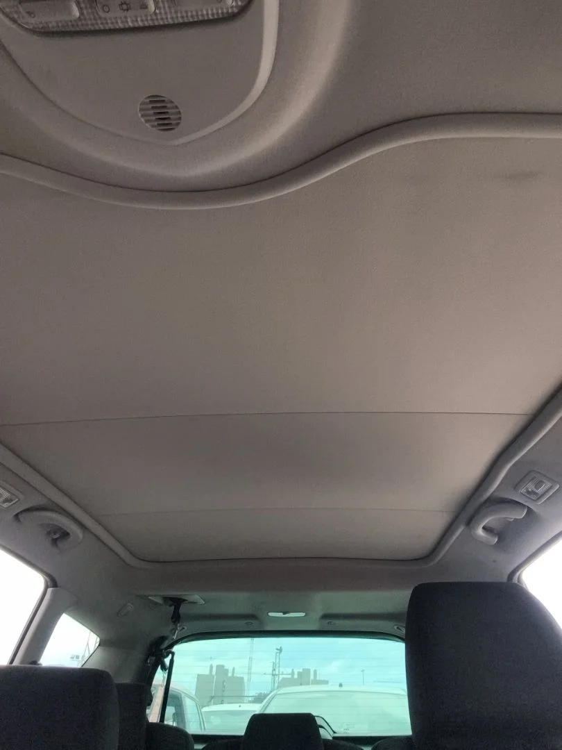 Foto de TECHO INTERIOR PEUGEOT 308 SW 2.0 16V HDi FAP CAT (RHR / DW10BTED4) (136 CV / 100 KW)