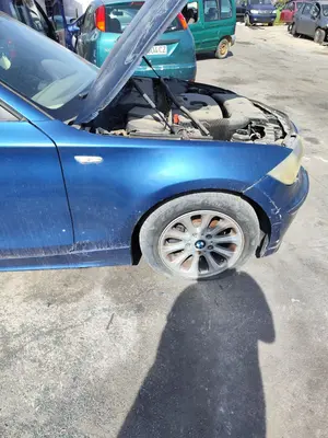 Foto de ALETA DELANTERA DERECHA BMW SERIE 1 BERLINA (E81/E87) 2.0 16V Diesel CAT (122 CV / 90 KW) referencia 41357133228