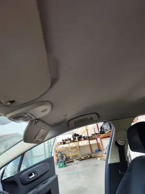 Foto de TECHO INTERIOR CITROEN C4 BERLINA 1.6 16V HDi (90 CV / 66 KW)