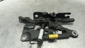 Foto de BISAGRA CAPO IZQUIERDA BMW SERIE 5 TOURING (F11) 2.0 Turbodiesel (218 CV / 160 KW) referencia 724988709