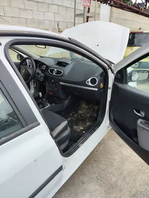 Foto de GOMAS CONTORNO PUERTA RENAULT CLIO III 1.5 dCi Diesel FAP (75 CV / 55 KW)