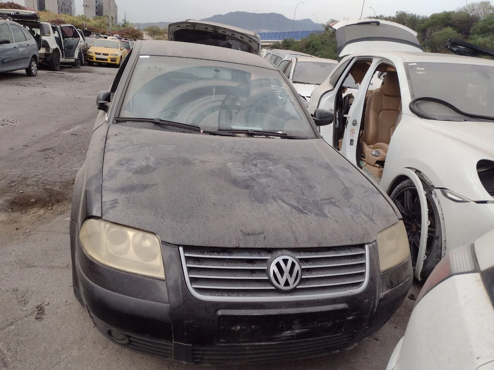 Foto de CAPO VOLKSWAGEN PASSAT BERLINA (3B3) 1.9 TDI (131 CV / 96 KW) referencia 3B0823031K