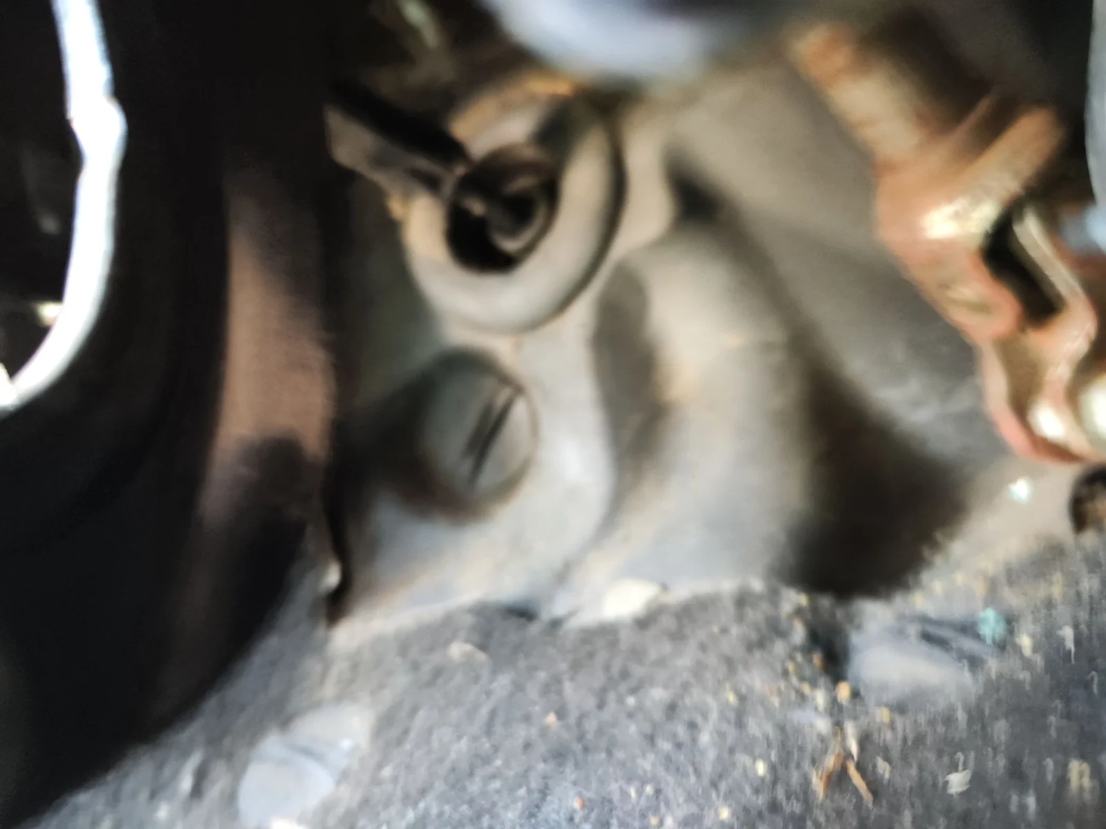 Foto de BOMBIN EMBRAGUE PEUGEOT 207 1.6 16V HDi (90 CV / 66 KW) referencia 2182C3