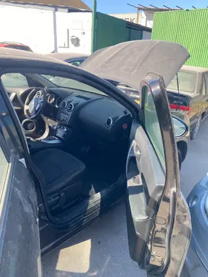 Foto de GOMAS CONTORNO PUERTA NISSAN QASHQAI (J10) 2.0 16V CAT (141 CV / 104 KW)