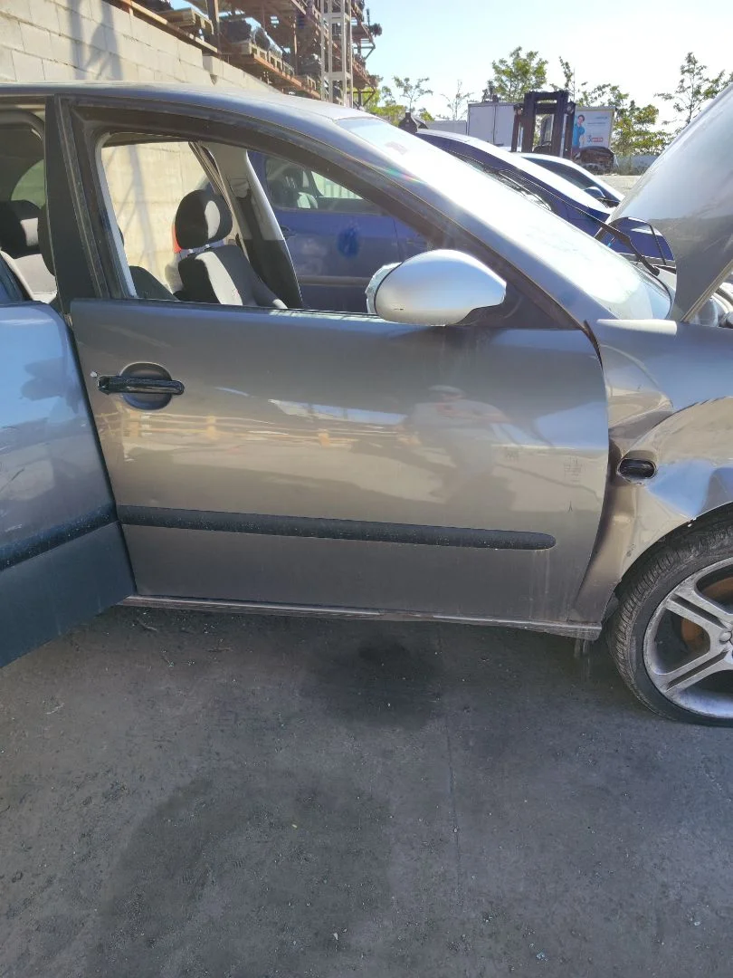 Foto de PUERTA DELANTERA DERECHA SEAT IBIZA (6L1) 1.9 TDI (101 CV / 74 KW)