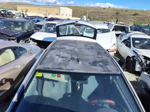 Foto de TECHO FIAT II PUNTO (188) BERLINA 1.3 JTD CAT (69 CV / 51 KW)
