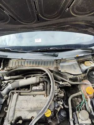 Foto de BRAZO LIMPIA DELANTERO DERECHO OPEL CORSA C 1.2 16V CAT (Z 12 XEP / LB4) (80 CV / 59 KW)