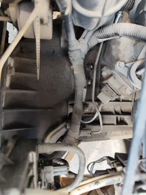 Foto de CAJA CAMBIOS FORD MONDEO BERLINA (GD) 1.8 Turbodiesel CAT (90 CV / 66 KW)