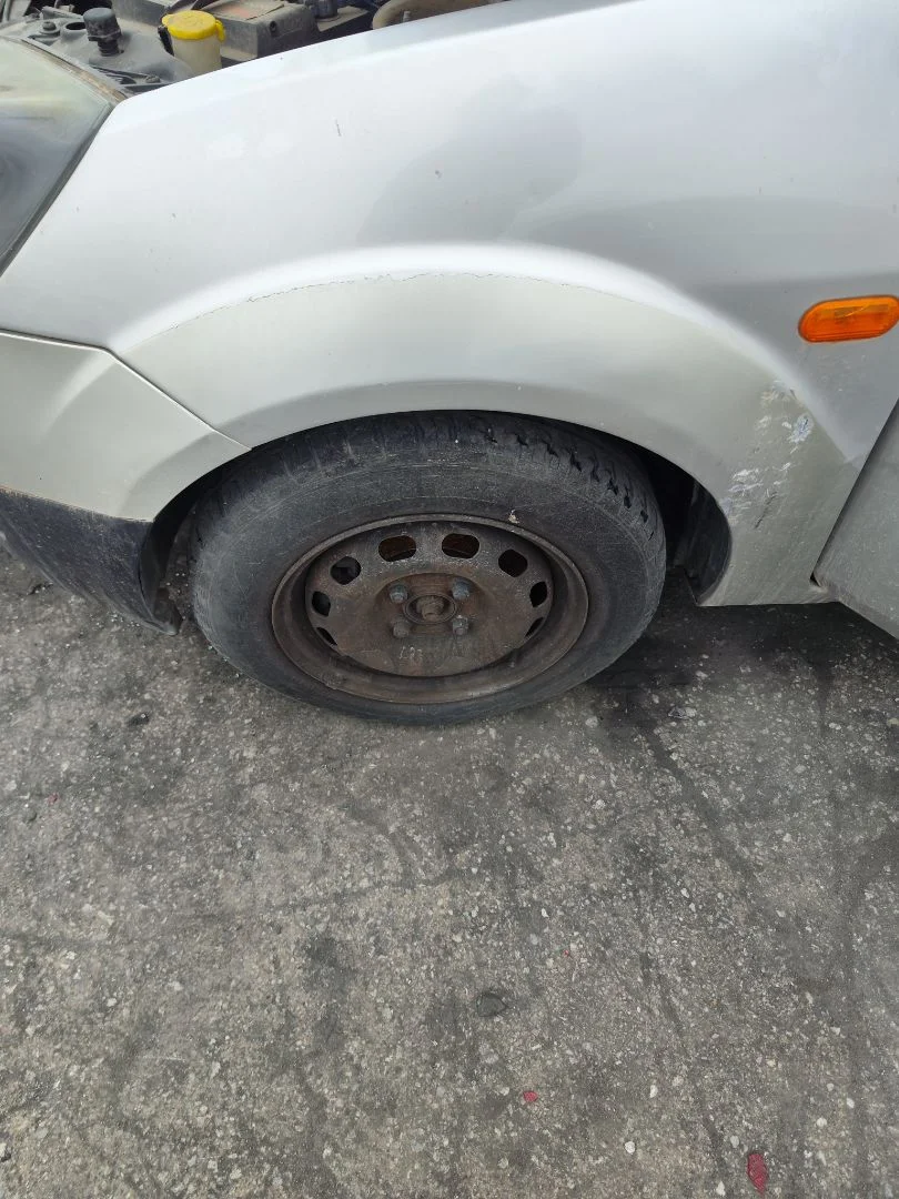 Foto de LLANTA FORD FIESTA (CBK) 1.4 TDCi CAT (68 CV / 50 KW) referencia 1749456