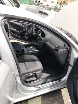 Foto de GOMAS CONTORNO PUERTA AUDI A4 BERLINA (8K2) 2.0 16V TDI (143 CV / 105 KW)