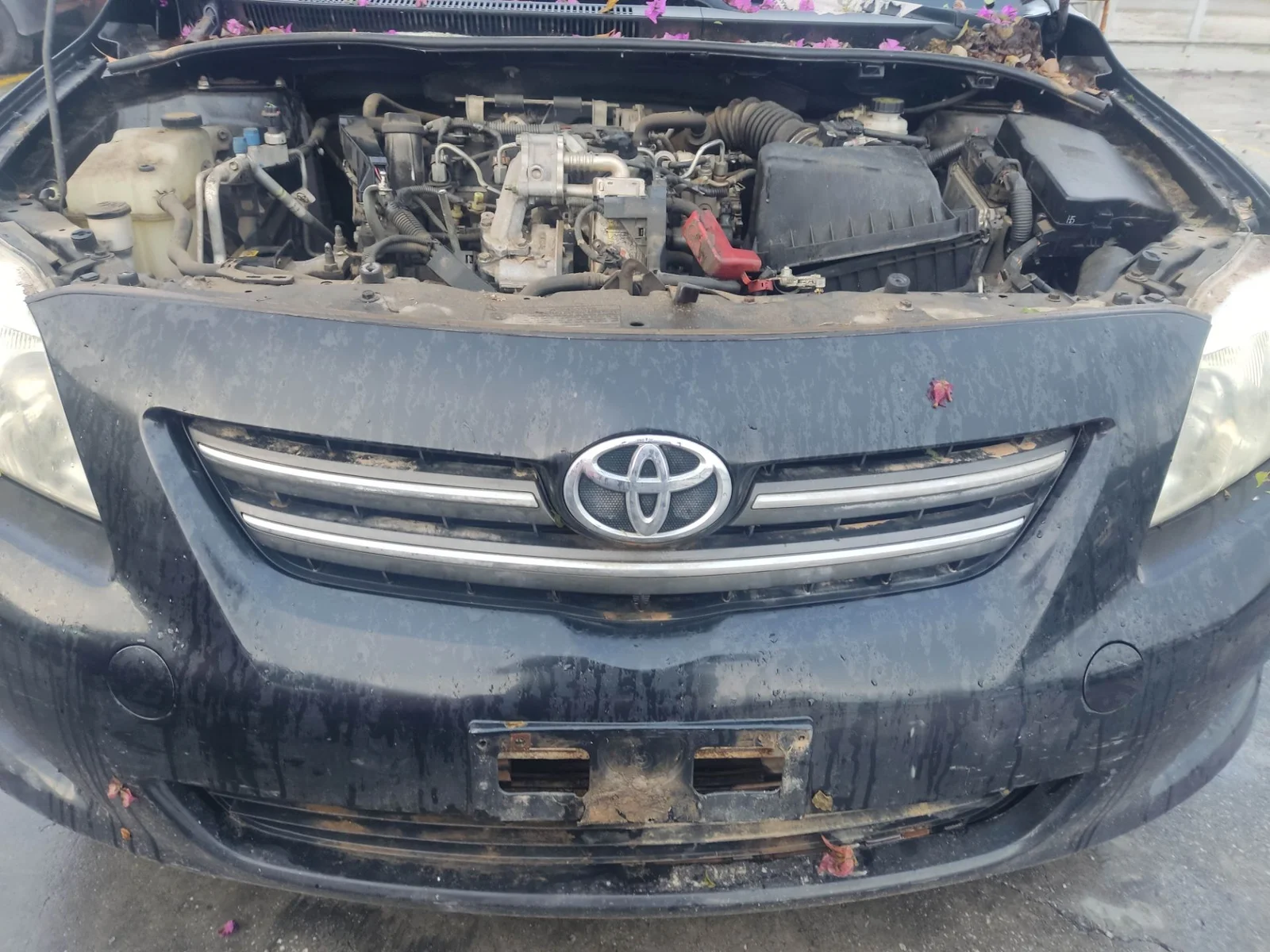 Foto de REJILLA DELANTERA TOYOTA COROLLA (E15) 1.4 Turbodiesel CAT (90 CV / 66 KW) referencia 5311212131
