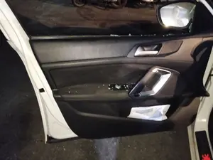 Foto de GUARNECIDO PUERTA DELANTERA IZQUIERDA PEUGEOT 308