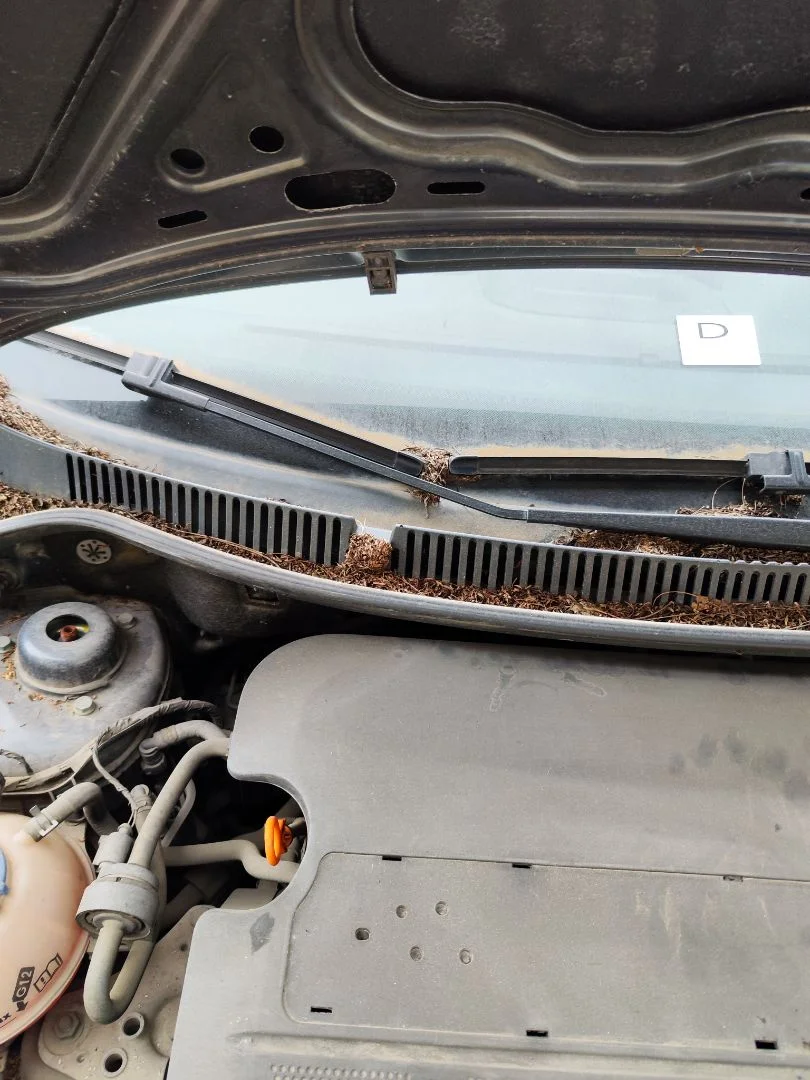 Foto de BRAZO LIMPIA DELANTERO DERECHO VOLKSWAGEN POLO IV (9N1) 1.4 16V (75 CV / 55 KW) referencia 6Q1955410B