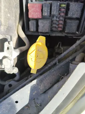 Foto de DEPOSITO LIMPIA OPEL CORSA D 1.3 16V CDTI (75 CV / 55 KW) referencia 55702892