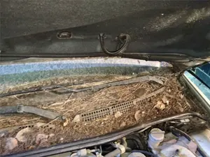 Foto de BRAZO LIMPIA DELANTERO IZQUIERDO HONDA ACCORD BERLINA (CG7-9/CH1-7)
