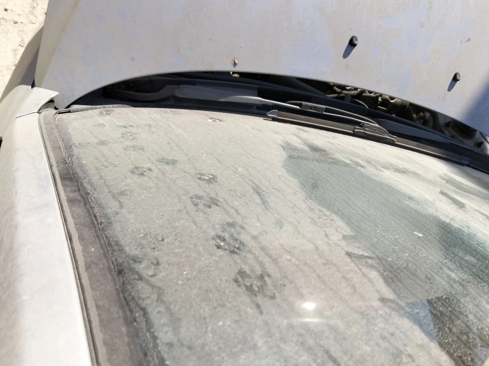 Foto de BRAZO LIMPIA DELANTERO IZQUIERDO HYUNDAI ELANTRA (XD) 2.0 CRDi CAT (113 CV / 83 KW)