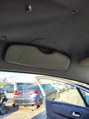 Foto de ASIDERO TECHO DELANTERO IZQUIERDO CITROEN C4 BERLINA 1.6 16V HDi FAP (109 CV / 80 KW)
