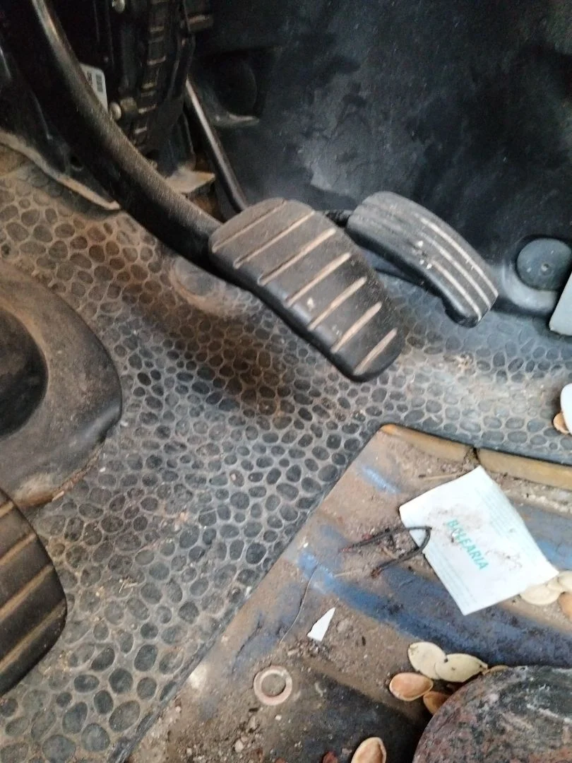 Foto de POTENCIOMETRO PEDAL RENAULT TRAFIC II COMBI 1.9 Diesel (101 CV / 74 KW)