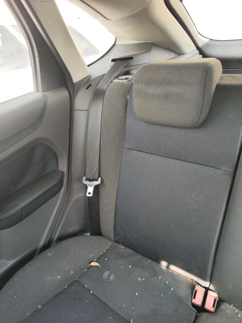 Foto de CINTURON SEGURIDAD TRASERO DERECHO FORD FOCUS BERLINA (CAP) 1.8 TDCi Turbodiesel CAT (116 CV / 85 KW)