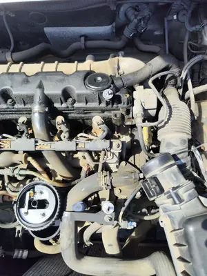 Foto de MOTOR COMPLETO CITROEN BERLINGO 2.0 HDi CAT (RHY / DW10TD) (90 CV / 66 KW) referencia RHY foto 2
