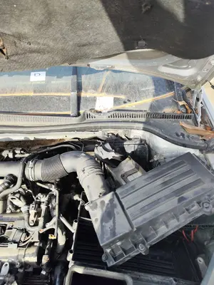 Foto de MOTOR LIMPIA DELANTERO VOLKSWAGEN GOLF V (1K1)(10.2003) 1.4 16V TSI (170 CV / 125 KW) referencia 1Q1955119C