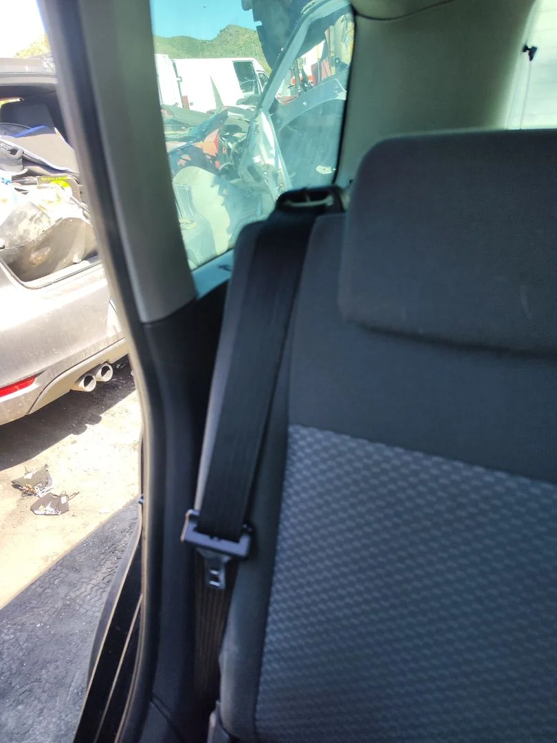 Foto de CINTURON SEGURIDAD TRASERO DERECHO FORD FOCUS C-MAX (CAP)(2003) 1.6 TDCi CAT (90 CV / 66 KW)