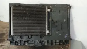 Foto de PANEL FRONTAL CITROEN C3 1.1 (60 CV / 44 KW) referencia 9682586580 foto 3