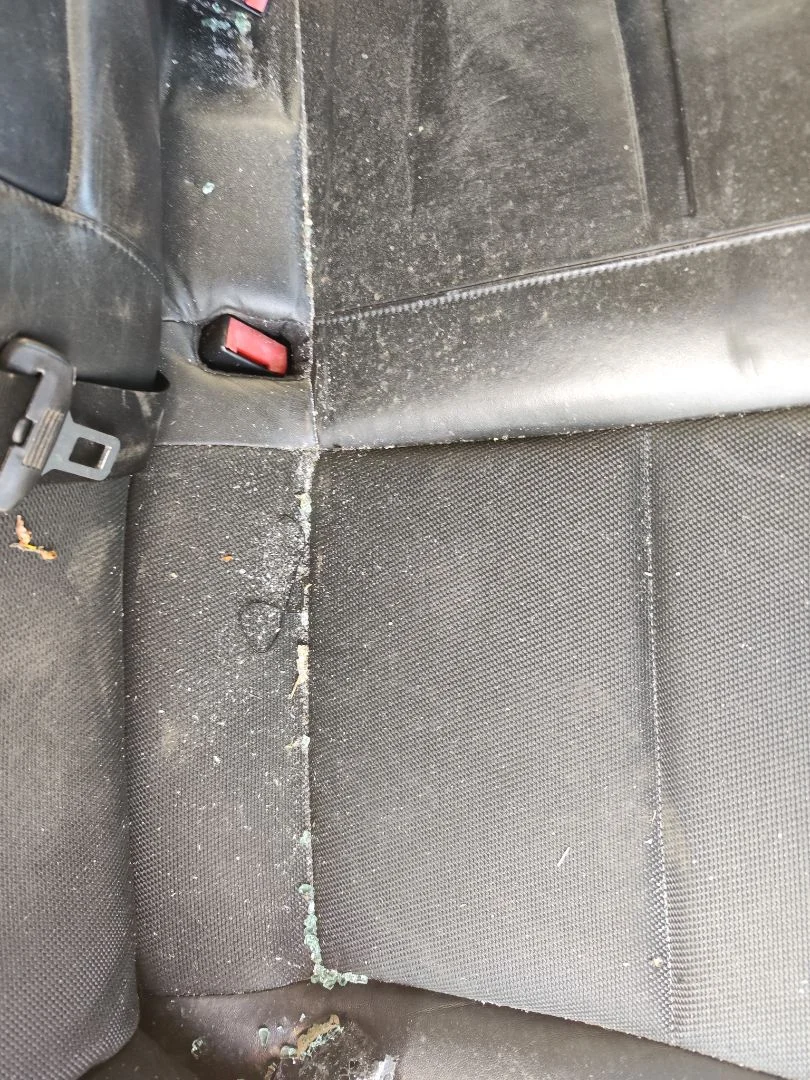 Foto de ENGANCHE CINTURON TRASERO DERECHO AUDI A4 AVANT (8E) 3.0 V6 24V TDI (233 CV / 171 KW)