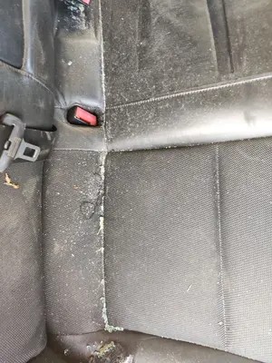 Foto de ENGANCHE CINTURON TRASERO DERECHO AUDI A4 AVANT (8E) 3.0 V6 24V TDI (233 CV / 171 KW)