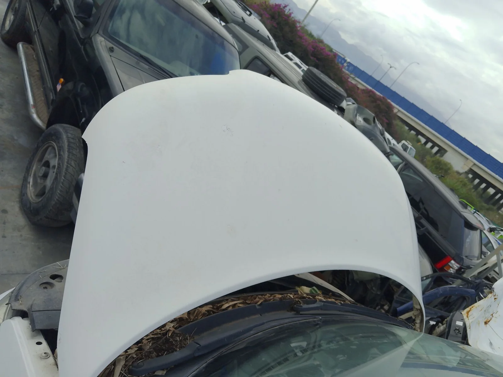 Foto de CAPO VOLKSWAGEN T5 TRANSPORTER FURGÓN/COMBI (7H) 1.9 TDI CAT (AXB) (105 CV / 77 KW)