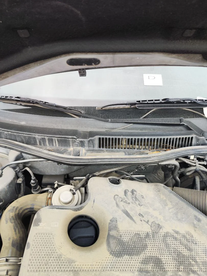 Foto de BRAZO LIMPIA DELANTERO DERECHO VOLKSWAGEN BORA BERLINA (1J2)(1998) 1.9 TDI (110 CV / 81 KW)