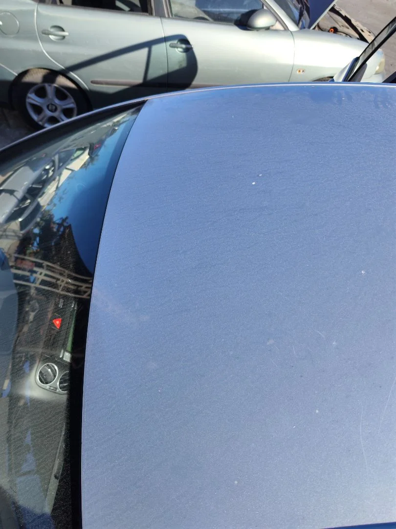 Foto de TECHO VOLKSWAGEN GOLF PLUS V (5M1) 1.9 TDI (105 CV / 77 KW)