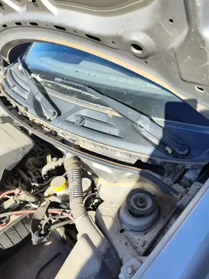 Foto de BRAZO LIMPIA DELANTERO IZQUIERDO FIAT II PANDA (169) 1.2 CAT (60 CV / 44 KW)