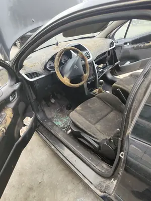 Foto de GOMAS CONTORNO PUERTA PEUGEOT 207 1.4 16V CAT (KFU / ET3J4) (88 CV / 65 KW)