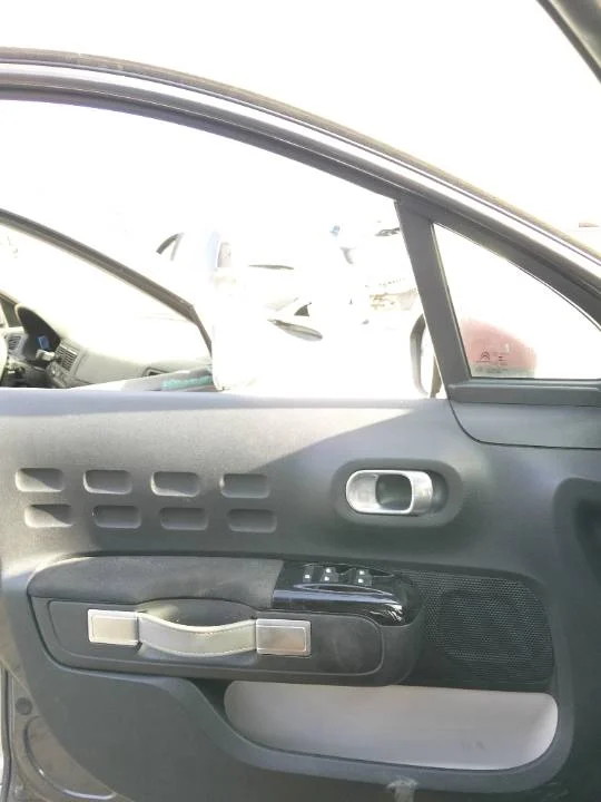 Foto de GUARNECIDO PUERTA DELANTERA IZQUIERDA CITROEN C3