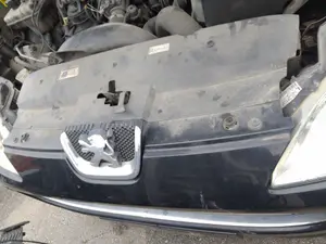 Foto de PANEL FRONTAL PEUGEOT 407 2.0 16V HDi FAP CAT (RHR / DW10BTED4) (136 CV / 100 KW)