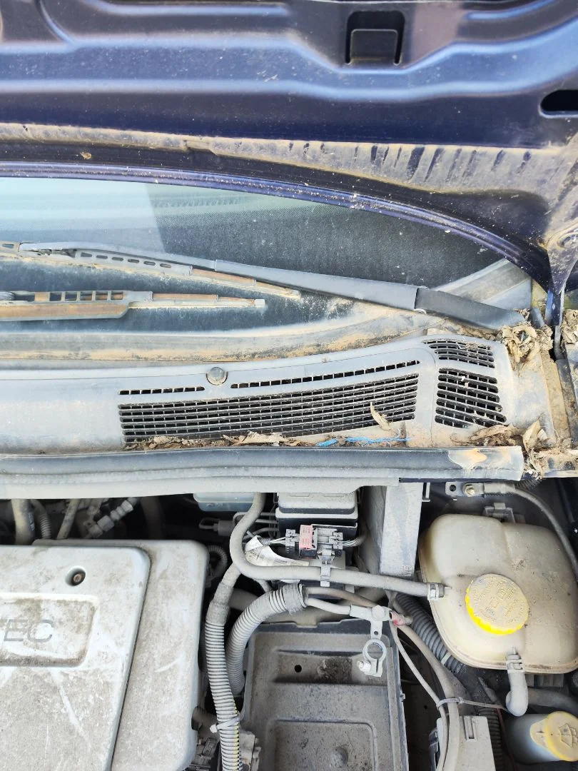Foto de BRAZO LIMPIA DELANTERO IZQUIERDO OPEL ZAFIRA A 1.6 16V (101 CV / 74 KW) referencia 90582557