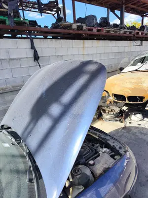 Foto de CAPO FORD MONDEO BERLINA (GD) 1.8 Turbodiesel CAT (90 CV / 66 KW) referencia 1026011 foto 3