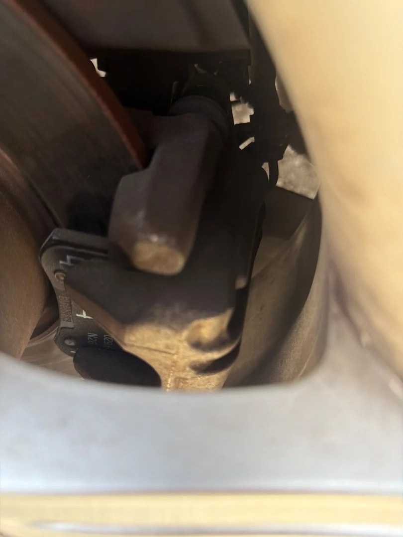 Foto de PINZA DE FRENO TRASERA IZQUIERDA SEAT LEON (1P1)