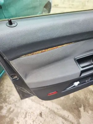 Foto de GUARNECIDO PUERTA DELANTERA IZQUIERDA VOLKSWAGEN POLO IV (9N1) 1.4 16V (75 CV / 55 KW) referencia 6Q4867011HEFKZ foto 2