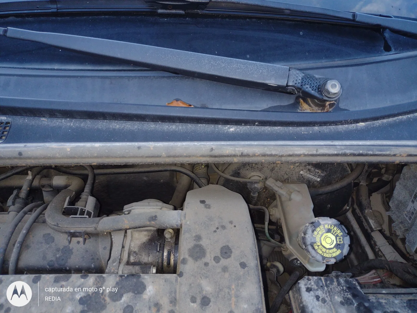 Foto de MOTOR LIMPIA DELANTERO RENAULT CLIO III 1.2 16V (75 CV / 55 KW)
