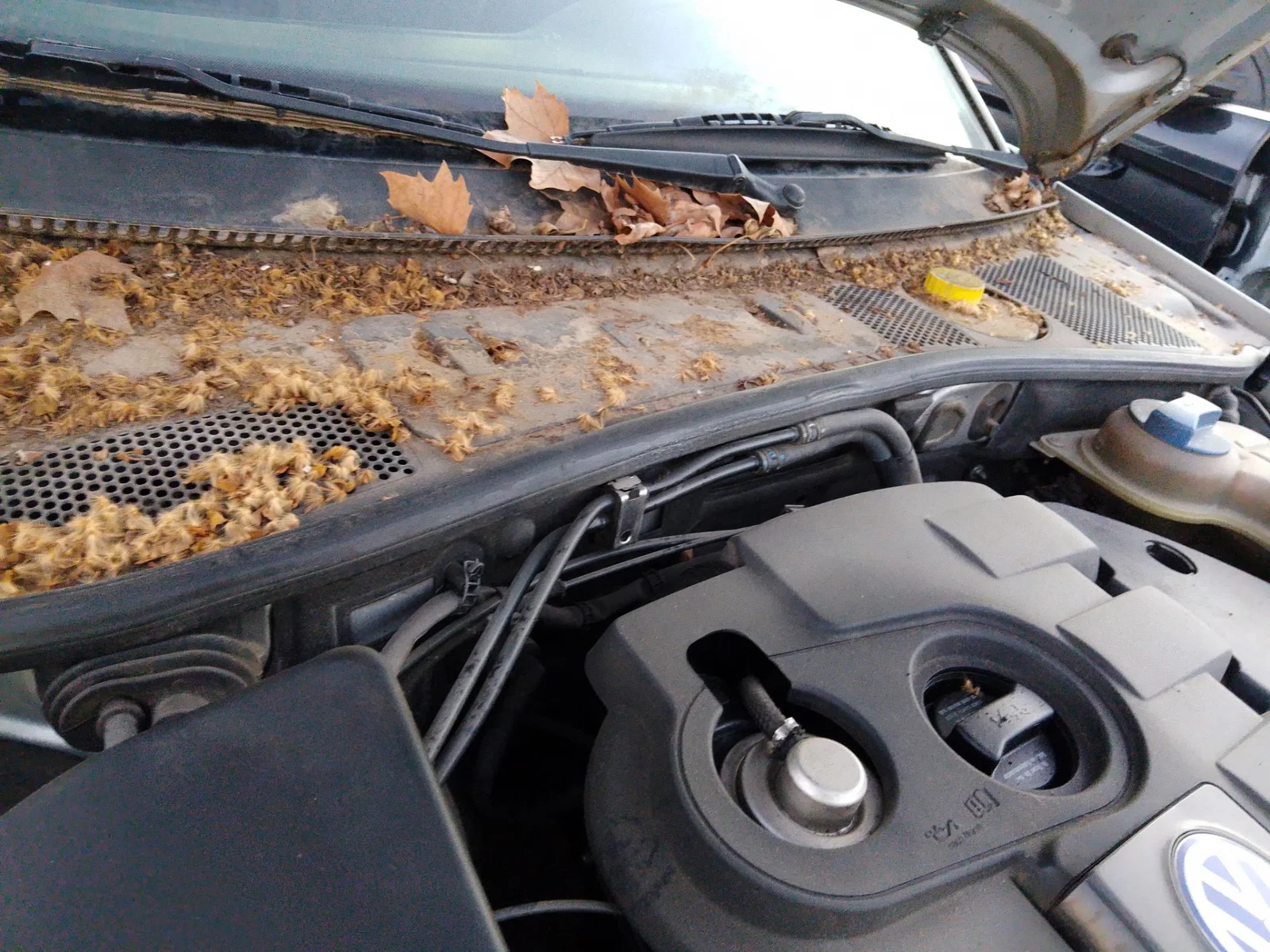 Foto de CENTRALITA MOTOR UCE VOLKSWAGEN PASSAT BERLINA (3B3) 1.9 TDI (131 CV / 96 KW)