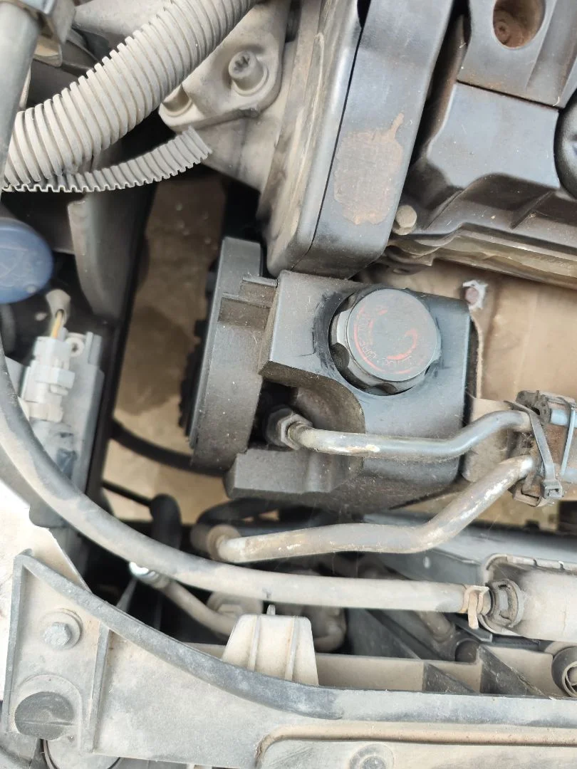 Foto de BOMBA DIRECCION PEUGEOT 206 1.6 16V CAT (109 CV / 80 KW) referencia 4007KX