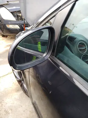 Foto de RETROVISOR INTERIOR VOLKSWAGEN GOLF PLUS V (5M1) 1.9 TDI (105 CV / 77 KW)
