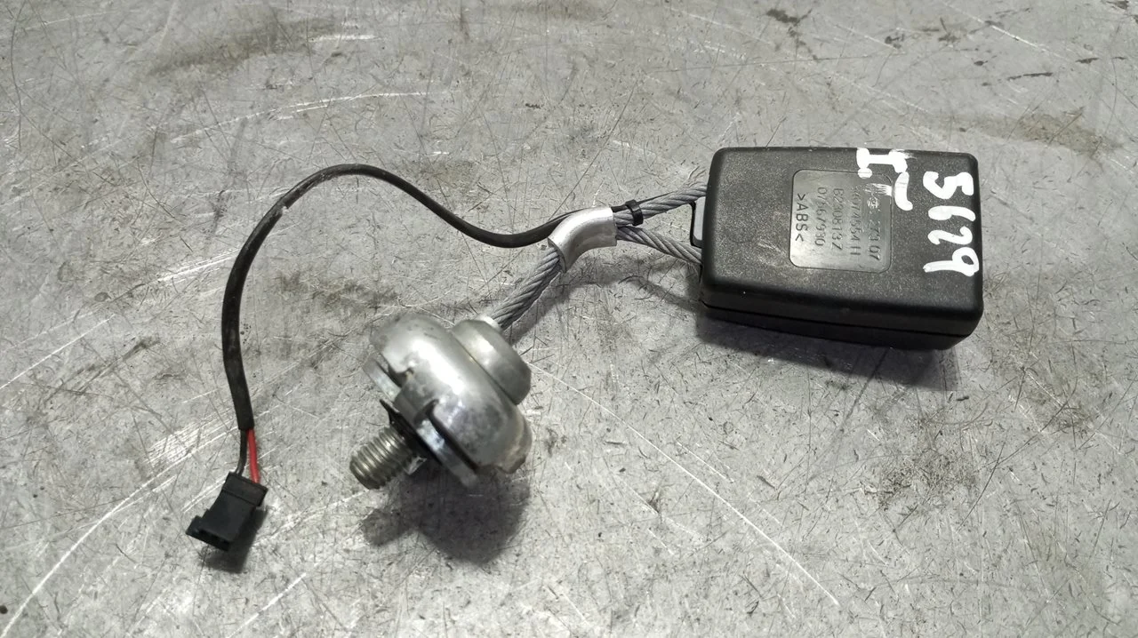 Foto de ENGANCHE CINTURON TRASERO IZQUIERDO BMW SERIE 5 TOURING (F11) 2.0 Turbodiesel (184 CV / 135 KW) referencia 724327307