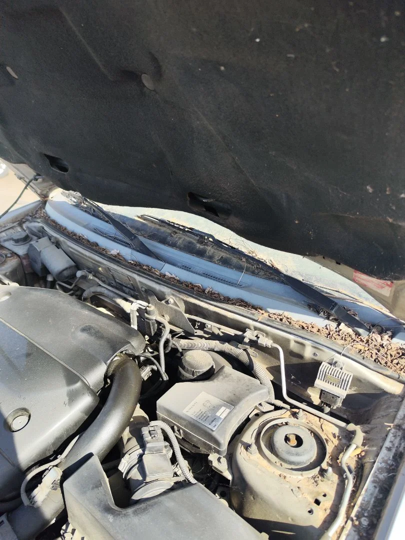 Foto de TORPEDO VOLVO S40 BERLINA 1.9 Diesel CAT (116 CV / 85 KW) referencia 30621945