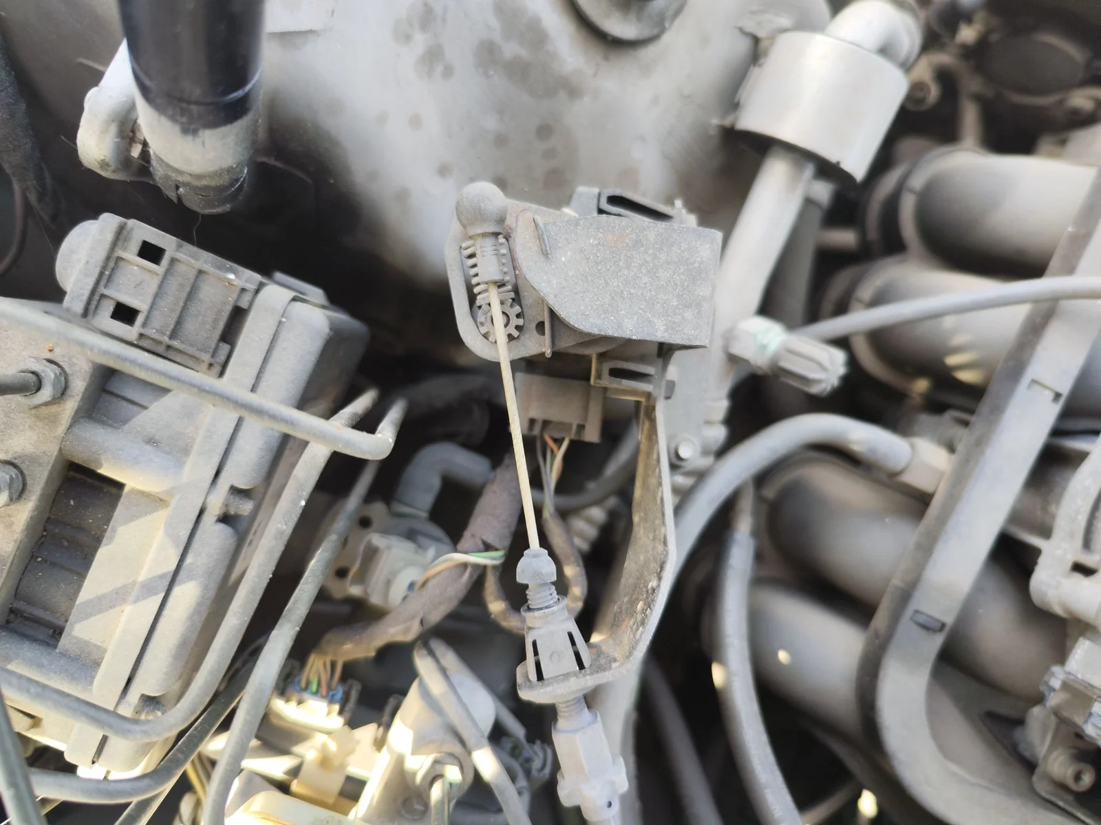 Foto de POTENCIOMETRO PEDAL MERCEDES-BENZ SLK (BM 170) ROADSTER 2.0 16V CAT (136 CV / 100 KW) referencia A2022900018