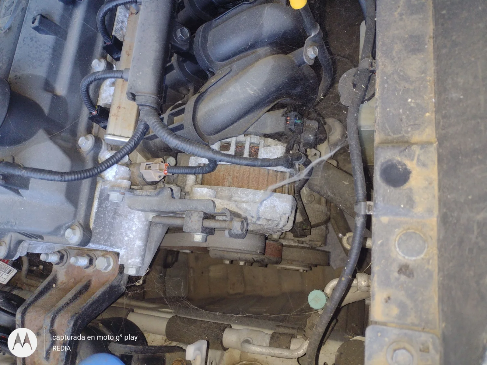 Foto de ALTERNADOR KIA RIO (UB) 1.2 CAT (86 CV / 63 KW)