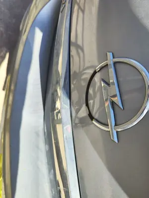 Foto de PANEL TRASERO OPEL ASTRA H GTC 1.7 16V CDTI (101 CV / 74 KW)