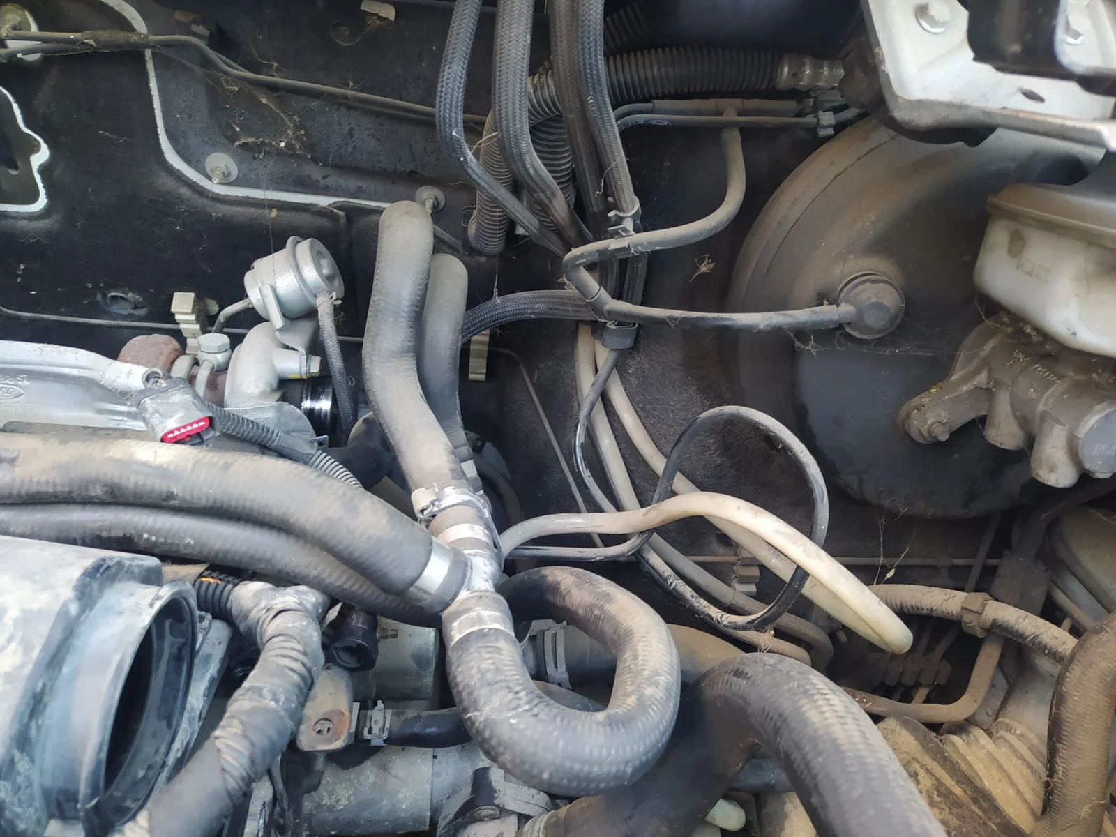 Foto de CABLEADO ELECTRICO FORD TRANSIT COMBI (TT9) 2.2 TDCi CAT (116 CV / 85 KW)